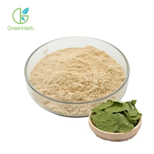 Epimedium Extract Powder